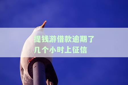 提钱游借款逾期了几个小时上征信-提钱游借款逾期了怎么办