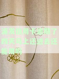 浦发信用卡逾期，警惕！浦发信用卡逾期可能带来的严重后果