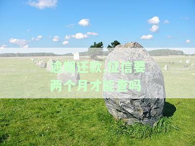 逾期还款，征信需要多久时间才能查询？