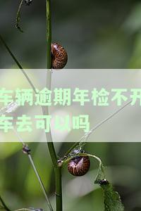 车辆逾期未年检不上路可以吗，逾期未年检的车辆是否可以上路行驶？