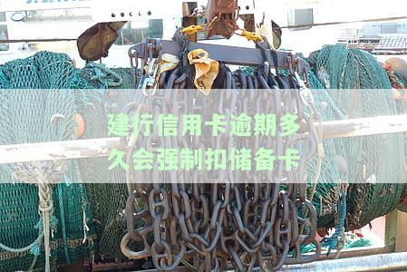 欠建设信用卡钱：多久会自动扣除蓄卡？银行是否会扣借记卡？