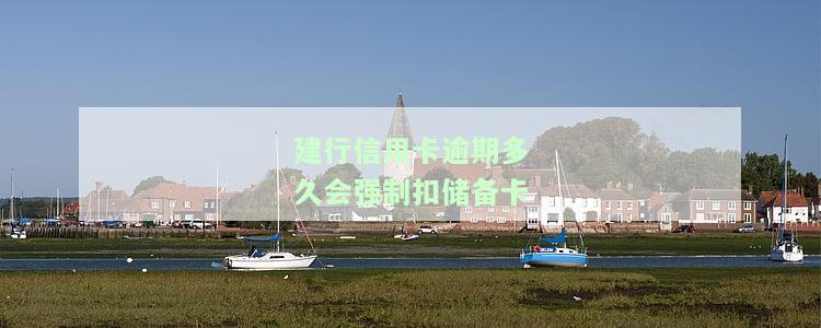 了解建行信用卡2020逾期新规：全解析与注意事