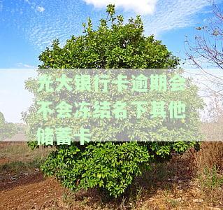 光大银行卡逾期会不会冻结名下其他蓄卡账户，光大银行卡逾期是否会导致名下其他蓄卡账户被冻结？