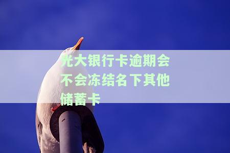 光大银行卡逾期会冻结名下其他蓄卡吗？