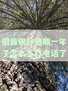 招商银行逾期一年多，违约金未上涨，能否追回？