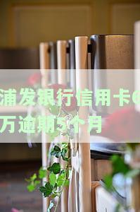 浦发信用卡6000元逾期两年：能否出境及后果分析