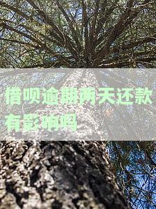 借呗逾期两天还款后还能继续使用？影响大吗？