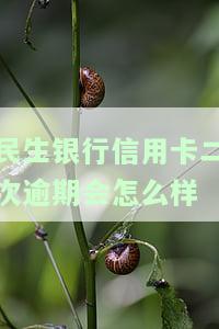 民生银行卡信用卡逾期会怎么样？影响、后果及处理方法全解析。