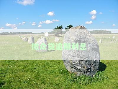 微众银行贷款逾期多久会影响征用卡？