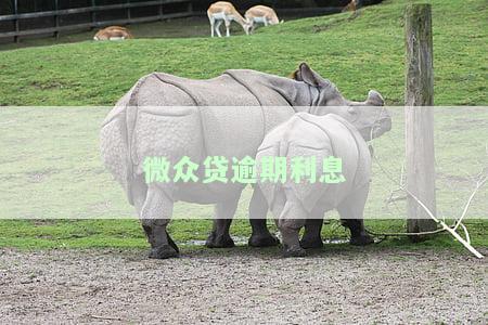 从微众银行借款逾期一年，真的会被起诉吗？