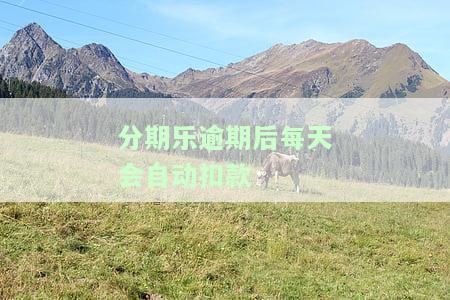 分期乐逾期一天上报影响征信吗？非故意逾期的后果是什么？及时还款是否能避免影响征信？