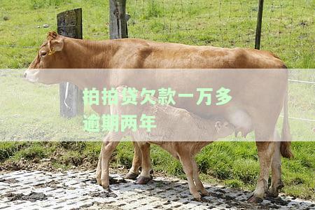 拍拍贷欠款一万多逾期两年如何处理？