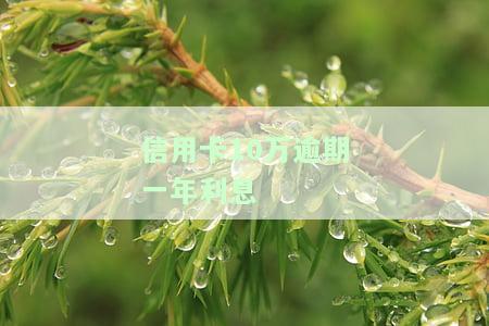 信用卡10万逾期2年，本金加利息会变成多少？