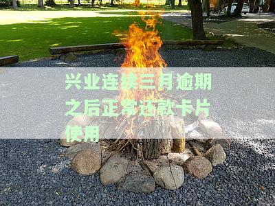兴业银行逾期还款后,卡片不让用了,怎么办，信用卡逾期还款导致兴业银行冻结卡片，如何解决？