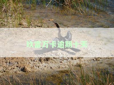 玖富万卡逾期十天的影响及解决办法
