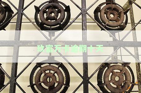 玖富万卡逾期十天会被银行加入黑名单，警惕！玖富万卡逾期十天将被银行列入黑名单