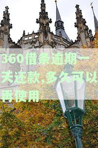 逾期一天还款,多久可以再使用额度，逾期一天还款后，需要多长时间才能再次使用额度？