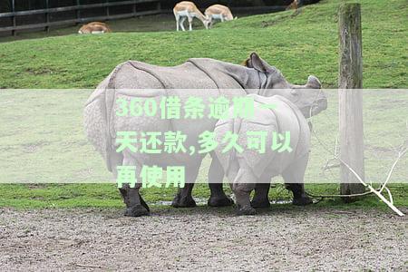 逾期一天还款后能否取出？安全性如何？