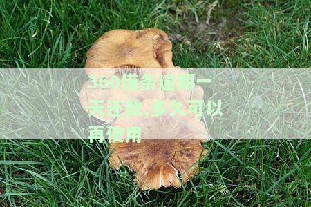 逾期一天就不会借钱给我了吗，逾期一天会导致无法再借款吗？