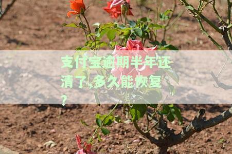 支付宝逾期半年还清后，多久能恢复正常征信记录？