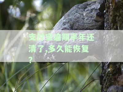 支付宝逾期半年已还款，多久能恢复正常使用？