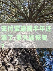 支付宝逾期半年还了就没事了吗？如何处理及解决办法