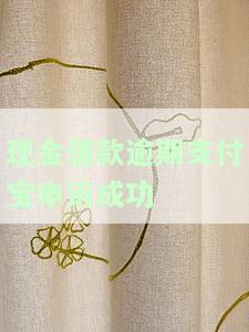 现金借款逾期支付宝申诉成功