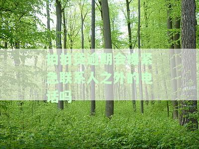 拍拍贷逾期会爆紧急联系人之外的电话吗