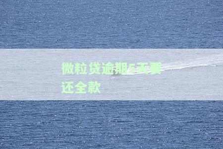 微粒贷逾期五天被要求还全款是什么意思，解答疑惑：微粒贷逾期五天被要求还全款意味着什么？