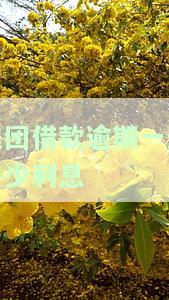 美团借款逾期一天利息计算方法