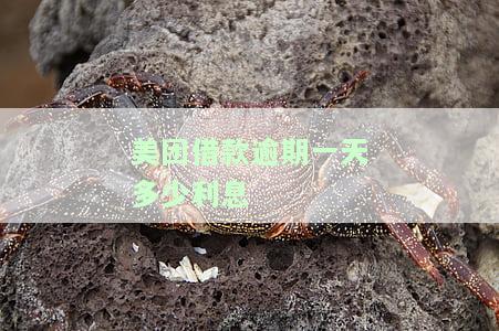 美团借款逾期一天，还款后是否会上征信？会对个人信用产生影响吗？