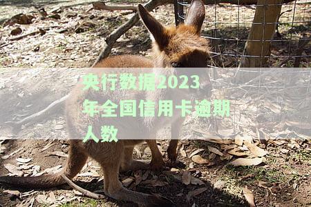 2020年信用卡逾期人数及金额：超预期增长，2021年情况如何？