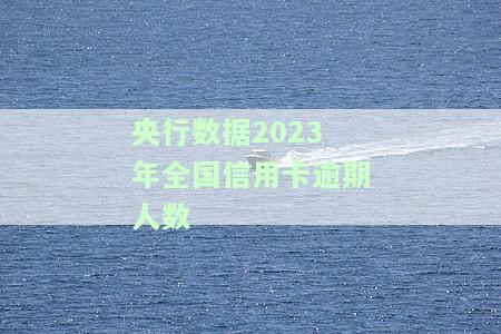 2021年全国信用卡逾期金额，2021年度报告：揭秘全国信用卡逾期金额数据