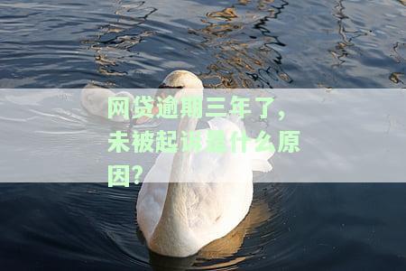 网贷逾期三年未被起诉原因解析