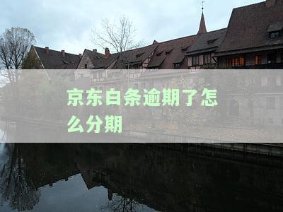 逾期了怎么分期-逾期怎么协商期