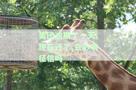 美团还款逾期一天，会影响信誉吗？