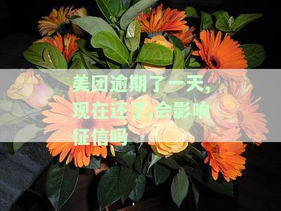 美团逾期一天还款：还能取出吗？安全性如何？会有什么影响？