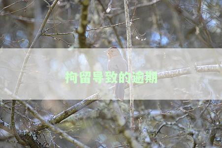 拘留导致逾期，工商银行为何不可减免？被拘如何处理信用卡还款问题？