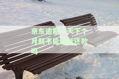 京东逾期一天是否会影响下月最低还款？已还后对征信有影响吗？逾期一个月后再借可行吗？