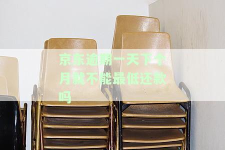 京东逾期过一次一天还完后还能借吗，逾期一天还款后，能否在京东再次借款？
