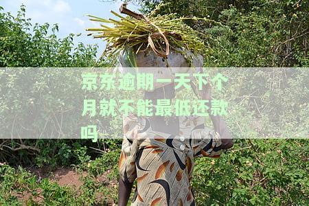 京东逾期一天下个月就不能最低还款吗-京东逾期一天下个月就不能最低还款吗