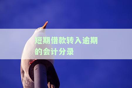 短期借款到期未还的会计处理方法
