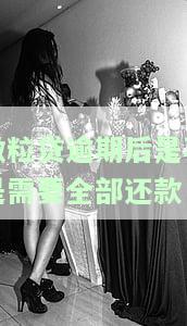 微粒贷逾期后是不是需要全部还款-微粒贷逾期后是不是需要全部还款了