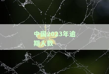 2023年逾期人数多吗，2023年逾期人数：你是否需要关注？