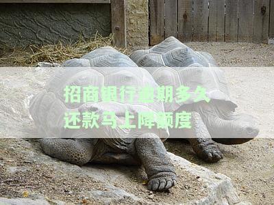 招商银行逾期多久可以协调分期还款，如何与招商银行协商分期还款？逾期多久可申请？