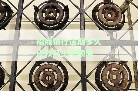 招商银行逾期多久还款马上降额度
