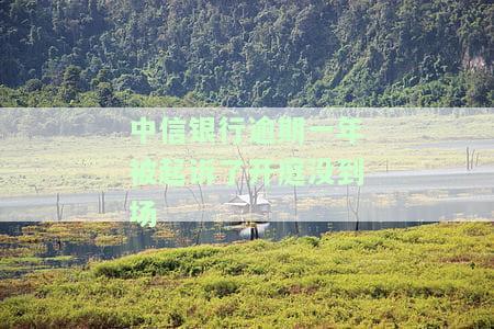 中信银行起诉后多久开庭？审理时间如何确定？