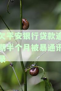 平安银行贷款逾期多久会打电话通知家人，平安银行贷款逾期后，多久才会通知家人？