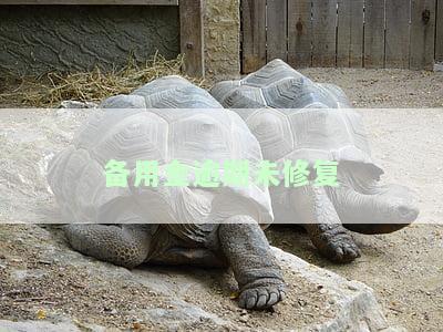 备用金逾期修复成功备用金还用不了，备用金逾期修复成功，为何仍然无法使用？