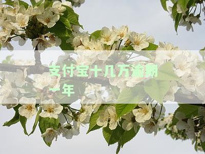 支付宝逾期十几万半年了：后果与解决办法